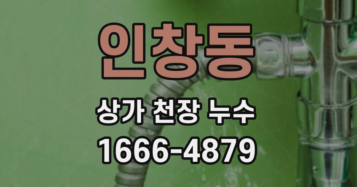 인창동 상가 천장 누수