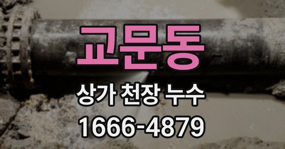 교문동 상가 천장 누수