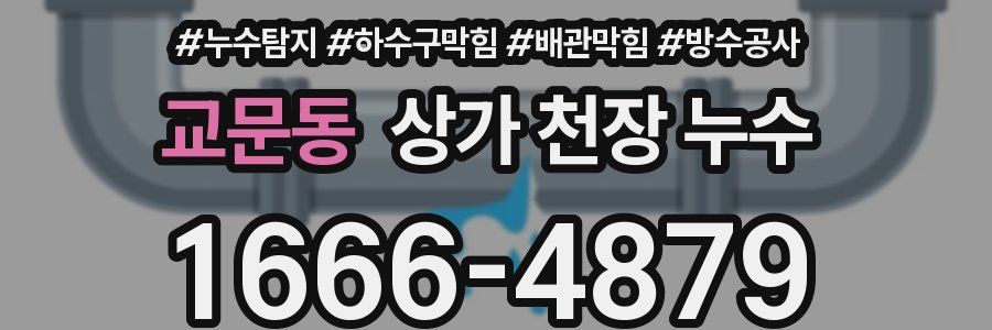 교문동 상가 천장 누수