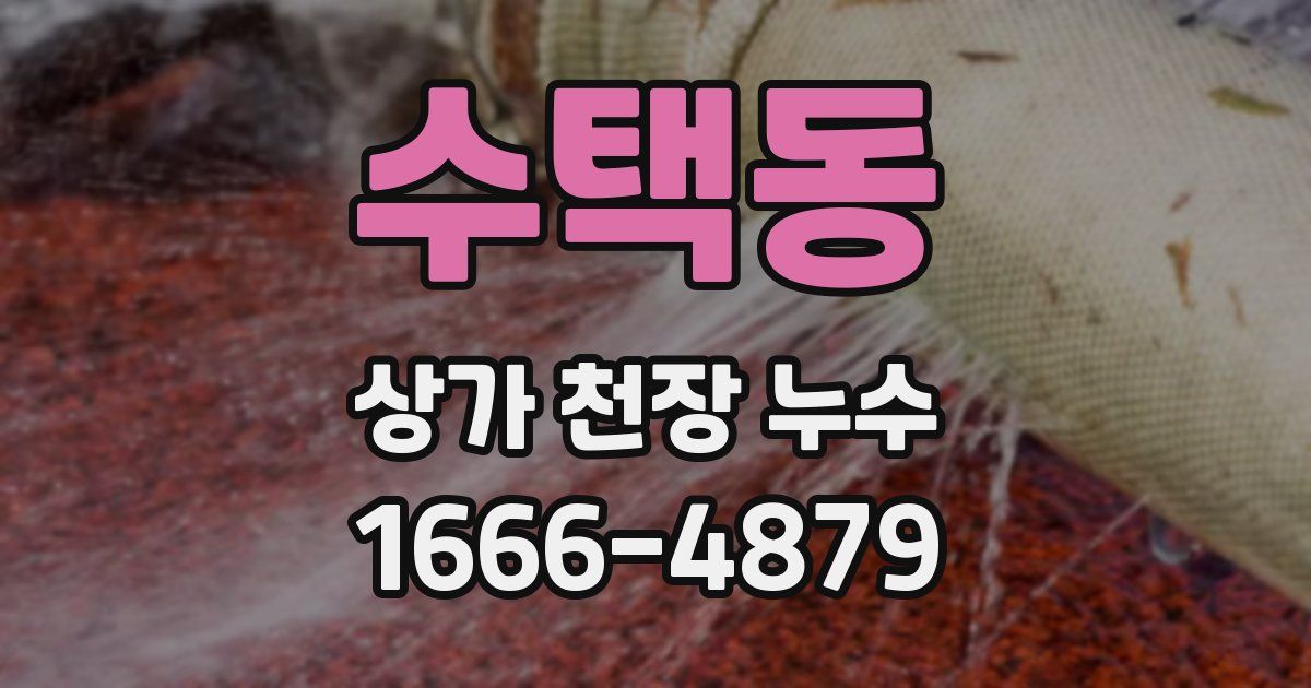 수택동 상가 천장 누수