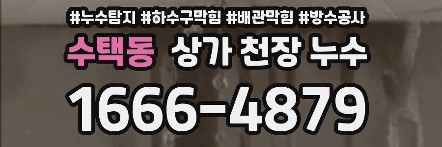 수택동 상가 천장 누수