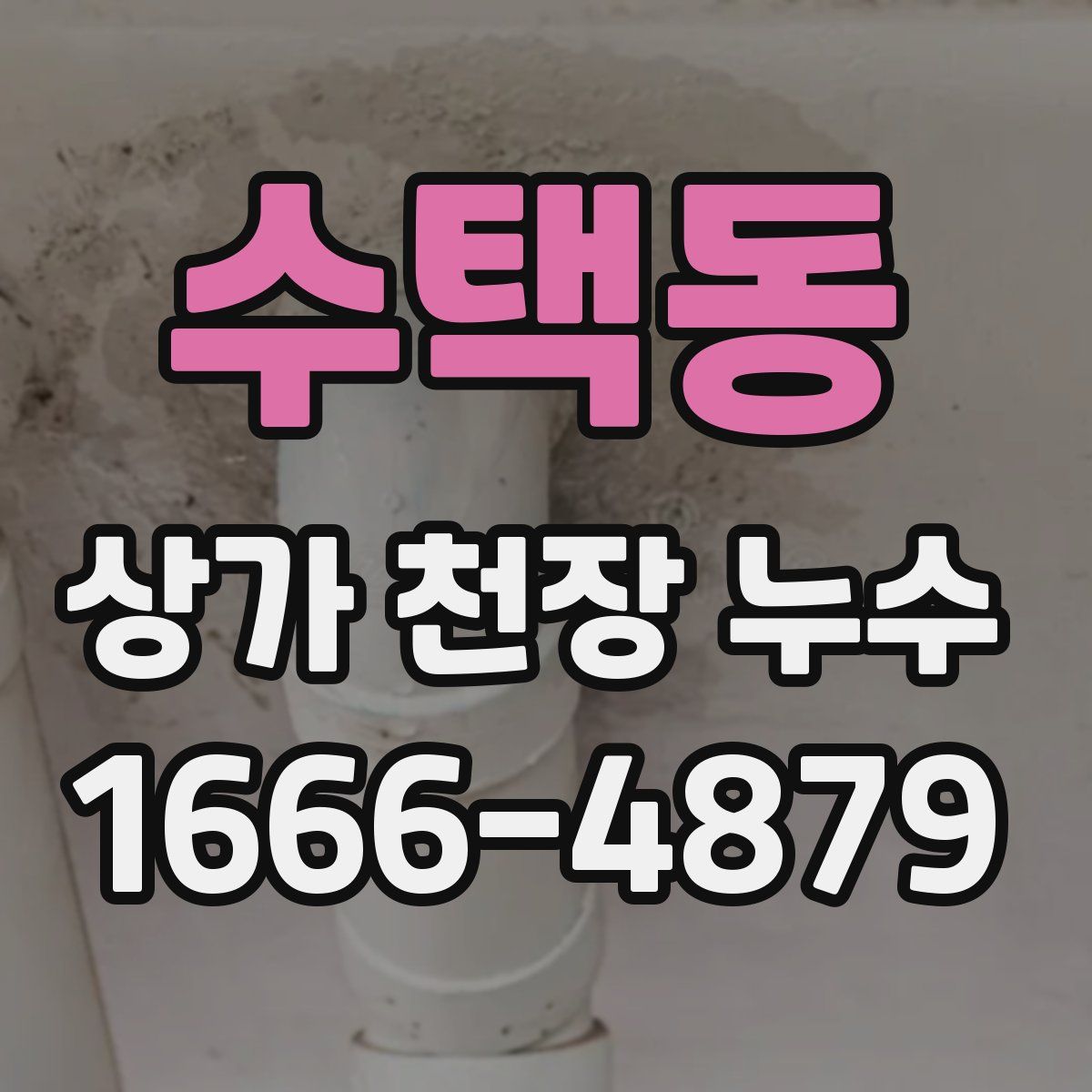 수택동 상가 천장 누수