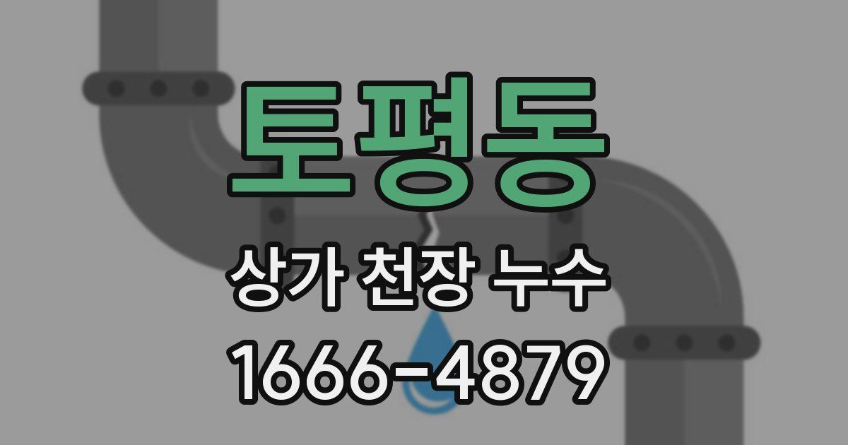 토평동 상가 천장 누수