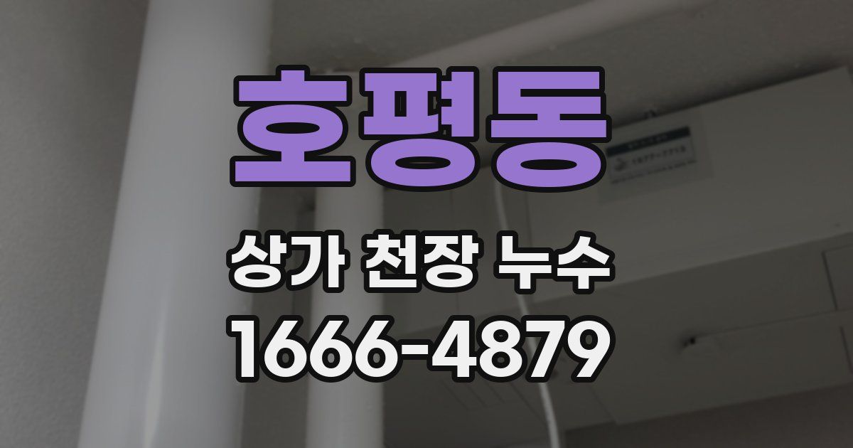 호평동 상가 천장 누수