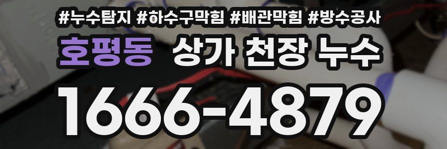 호평동 상가 천장 누수