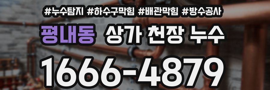 평내동 상가 천장 누수