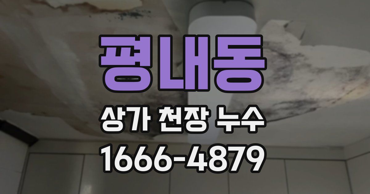 평내동 상가 천장 누수