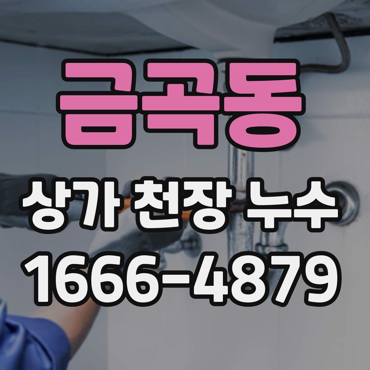 금곡동 상가 천장 누수