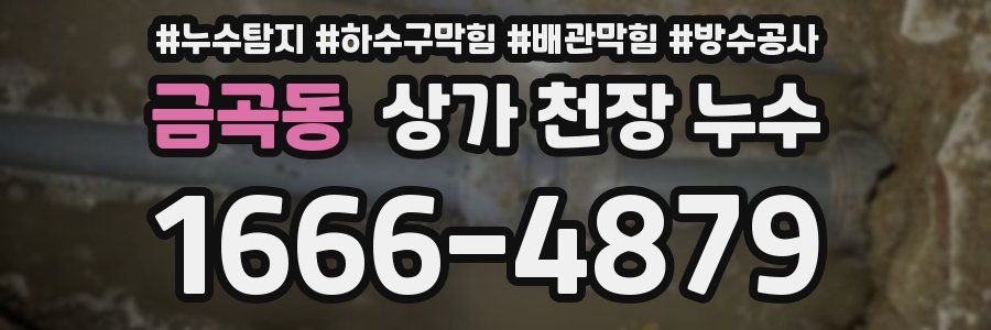 금곡동 상가 천장 누수