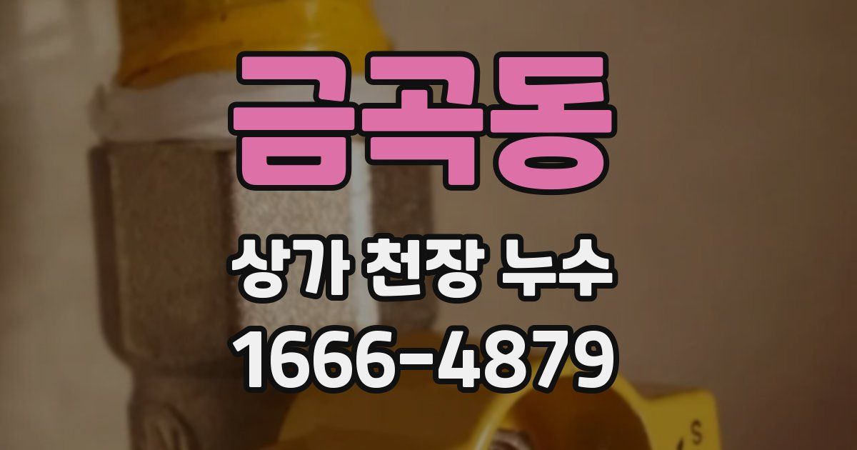 금곡동 상가 천장 누수