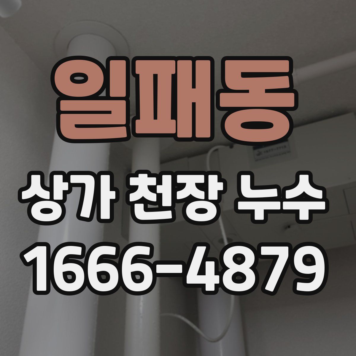 일패동 상가 천장 누수