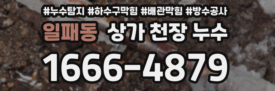 일패동 상가 천장 누수