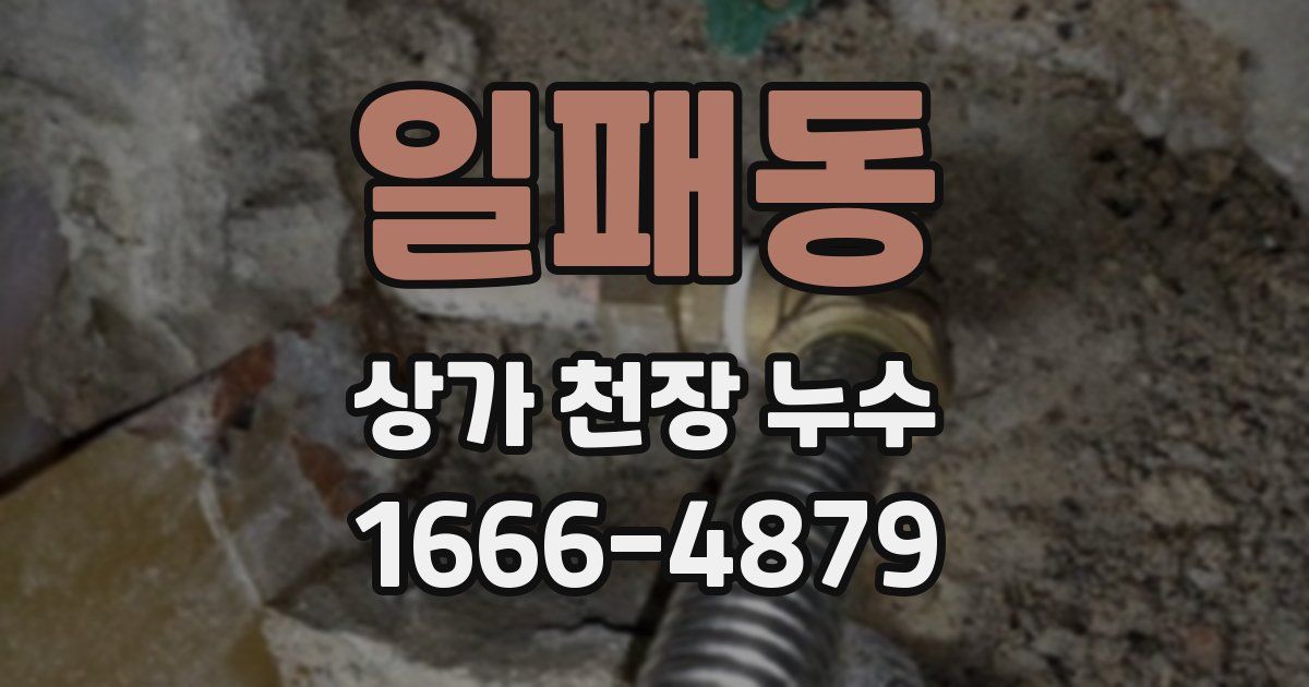 일패동 상가 천장 누수