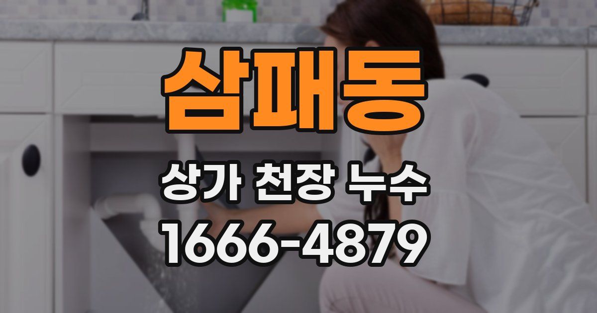 삼패동 상가 천장 누수