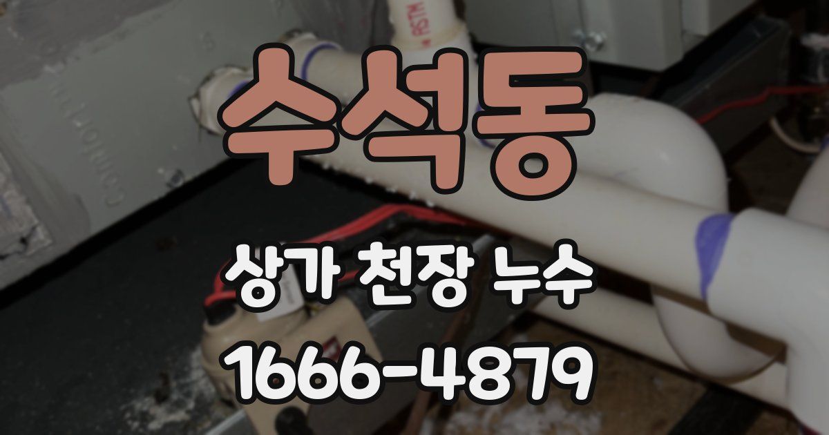 수석동 상가 천장 누수