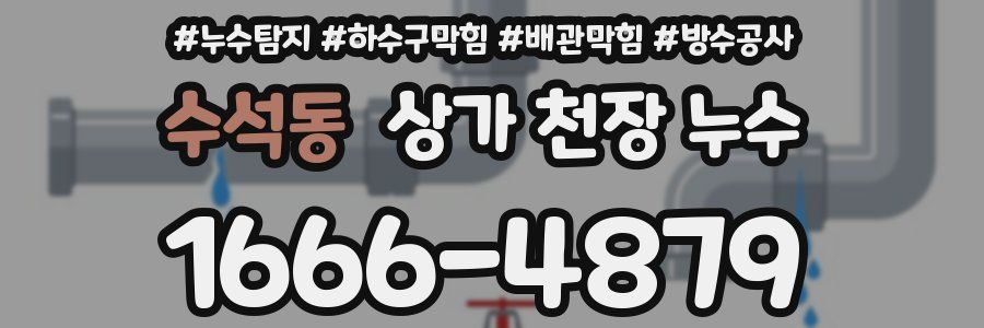 수석동 상가 천장 누수
