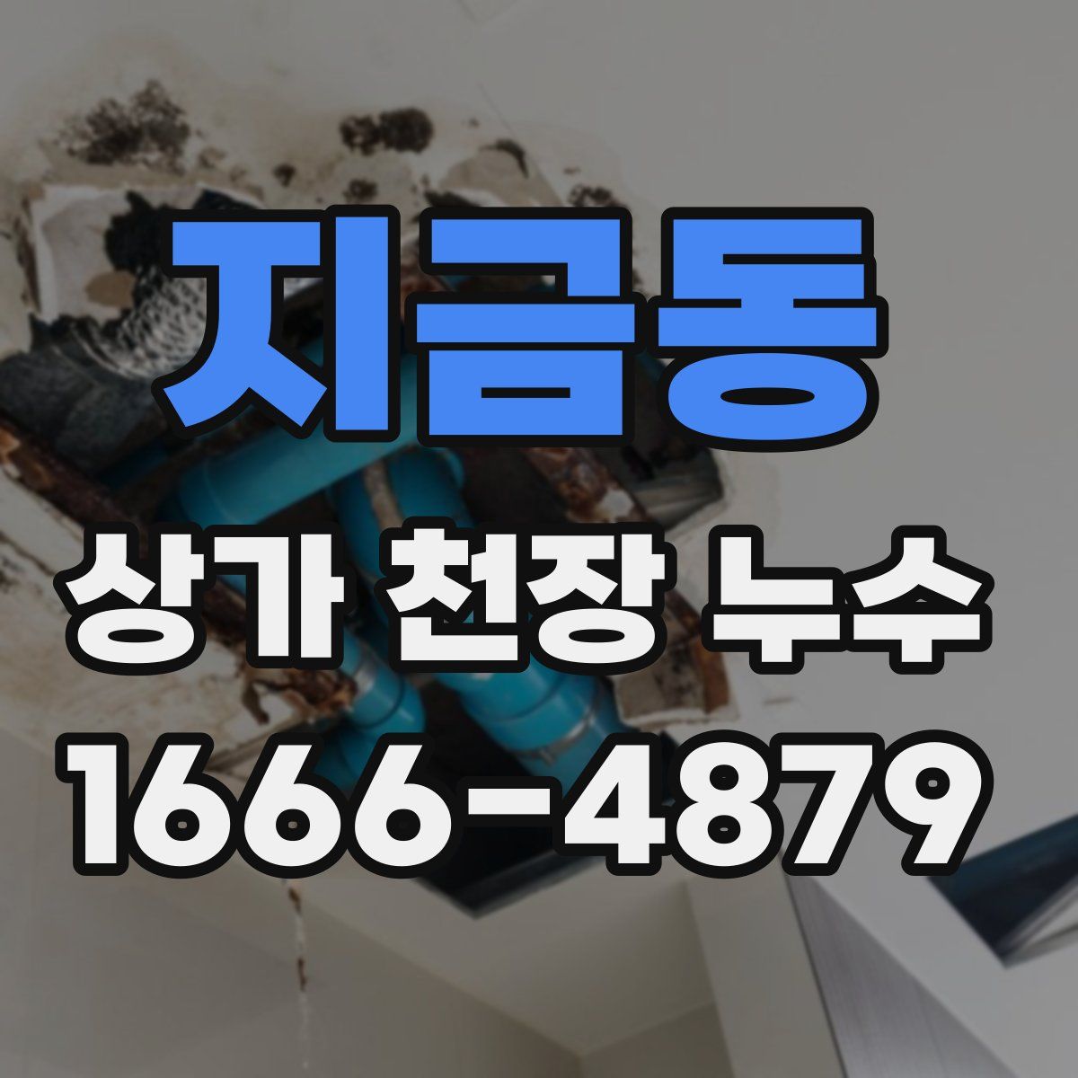 지금동 상가 천장 누수