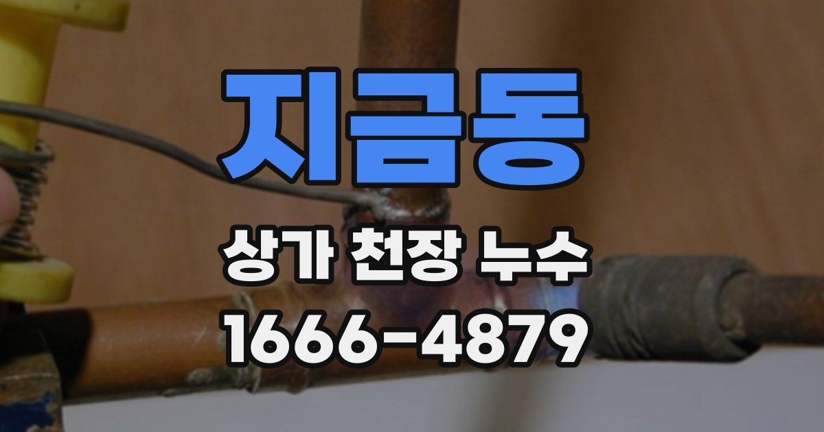 지금동 상가 천장 누수