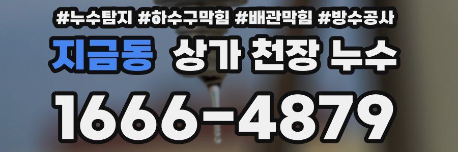 지금동 상가 천장 누수