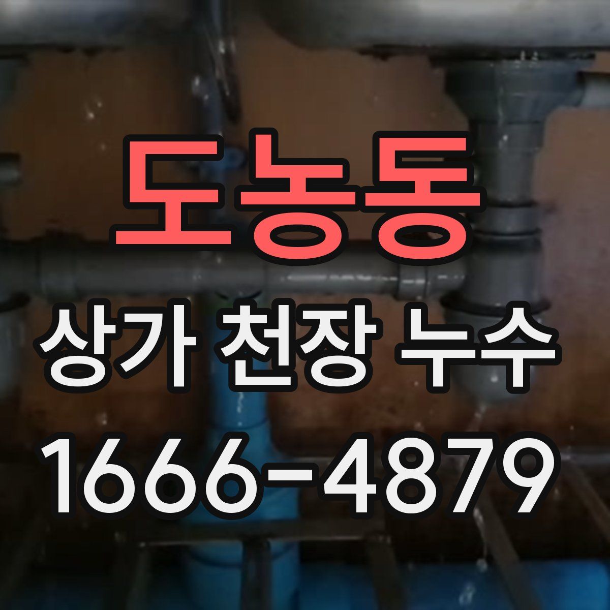 도농동 상가 천장 누수