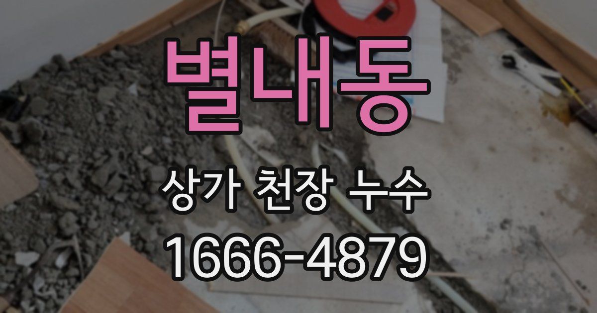 별내동 상가 천장 누수