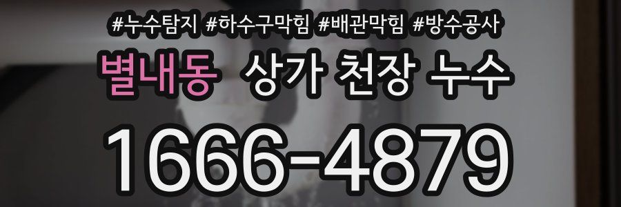 별내동 상가 천장 누수