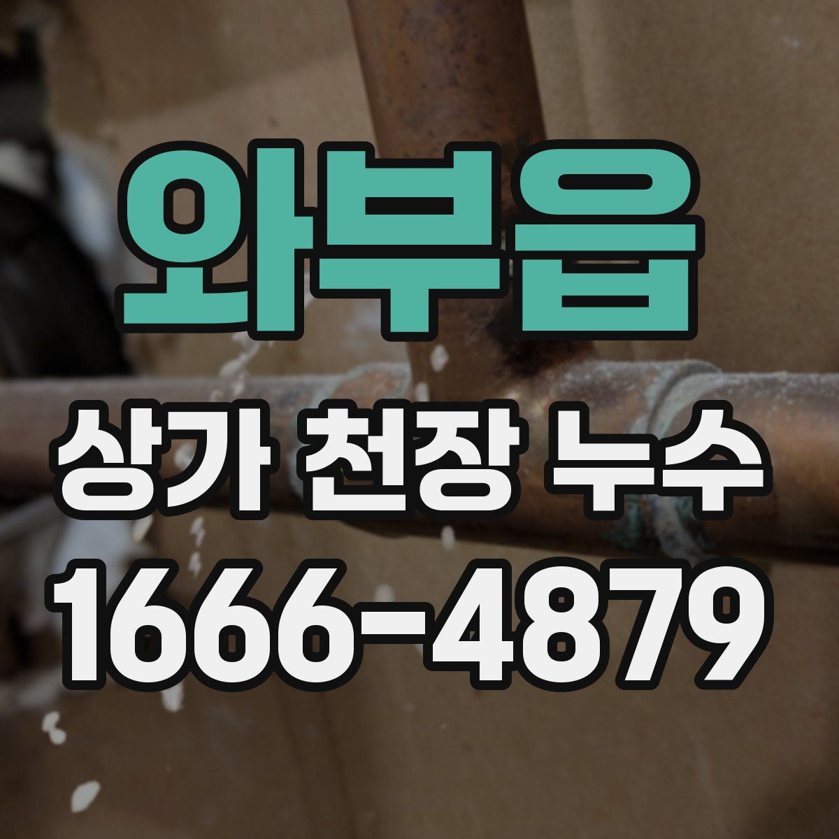 와부읍 상가 천장 누수