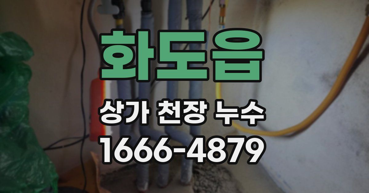 화도읍 상가 천장 누수
