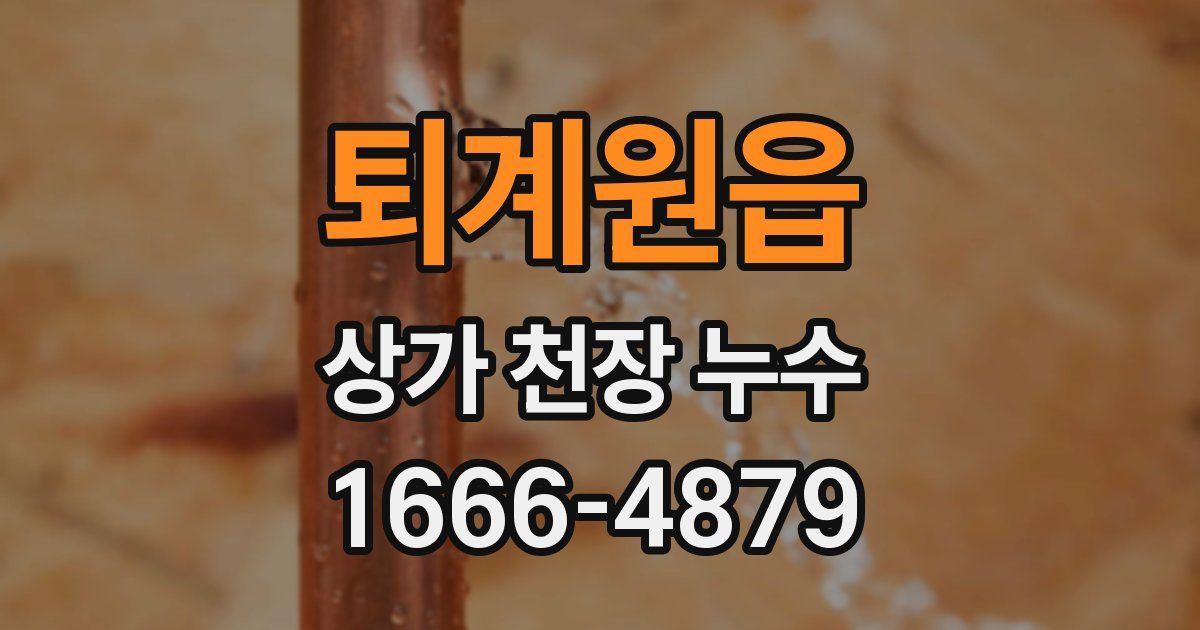 퇴계원읍 상가 천장 누수