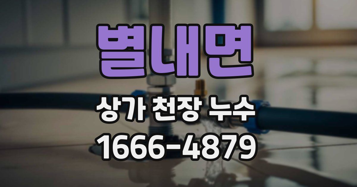 별내면 상가 천장 누수