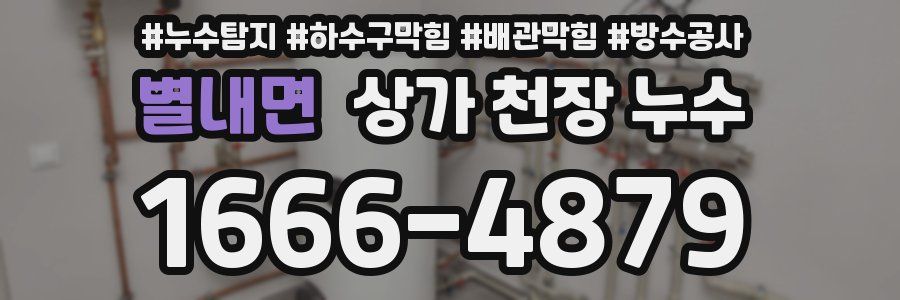 별내면 상가 천장 누수