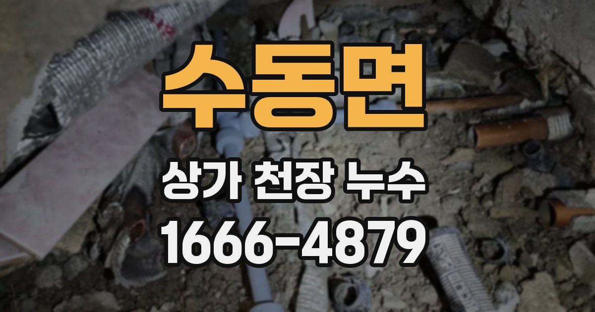 수동면 상가 천장 누수