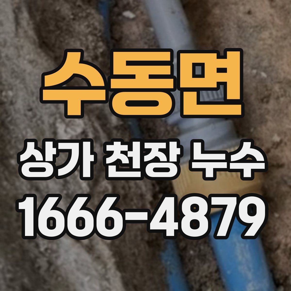 수동면 상가 천장 누수