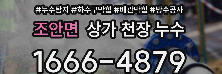조안면 상가 천장 누수