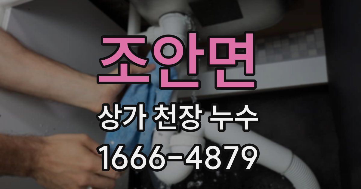 조안면 상가 천장 누수