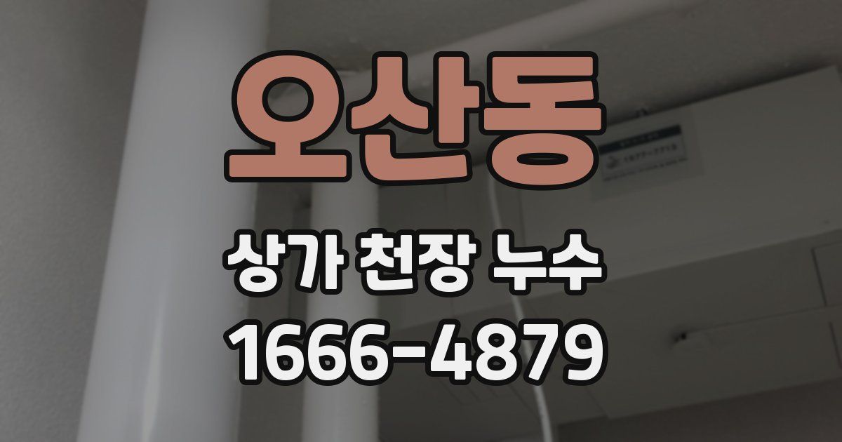 오산동 상가 천장 누수
