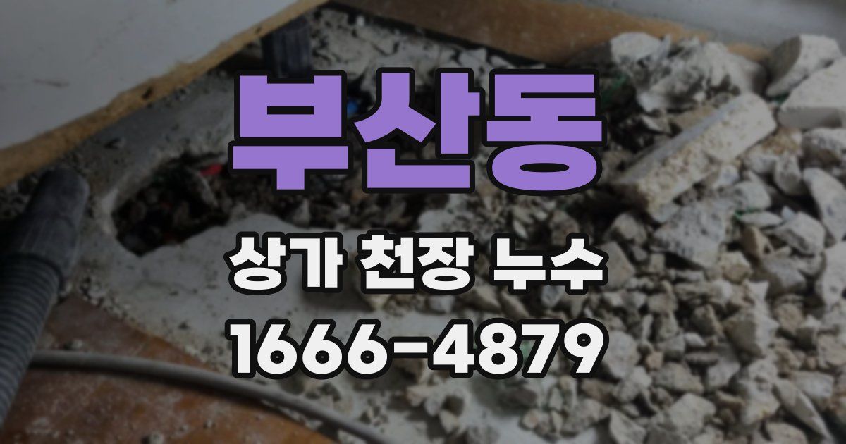 부산동 상가 천장 누수