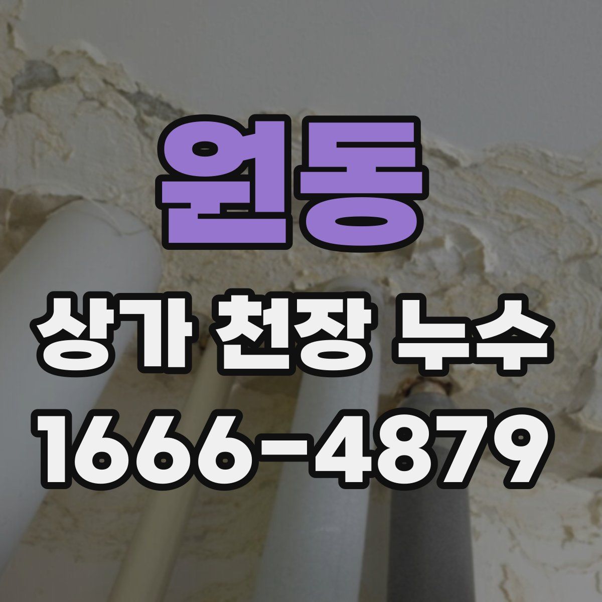 원동 상가 천장 누수
