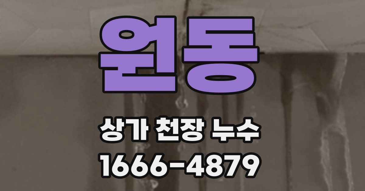원동 상가 천장 누수
