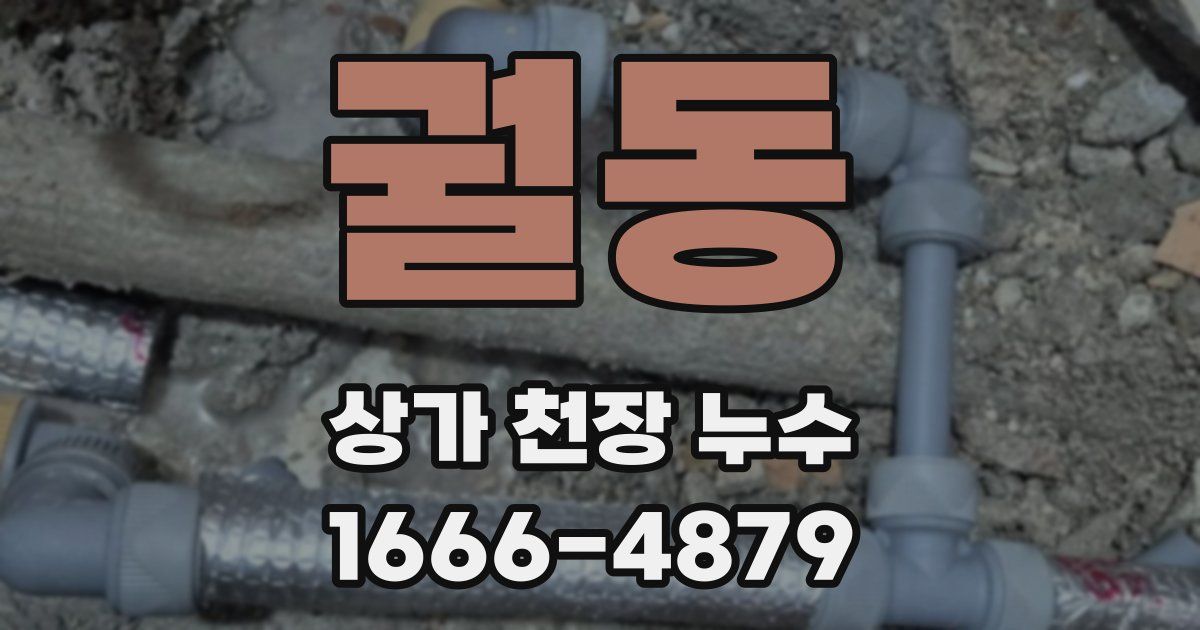 궐동 상가 천장 누수