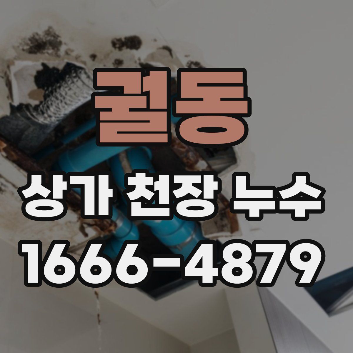 궐동 상가 천장 누수