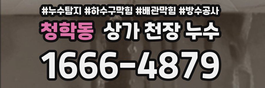 청학동 상가 천장 누수