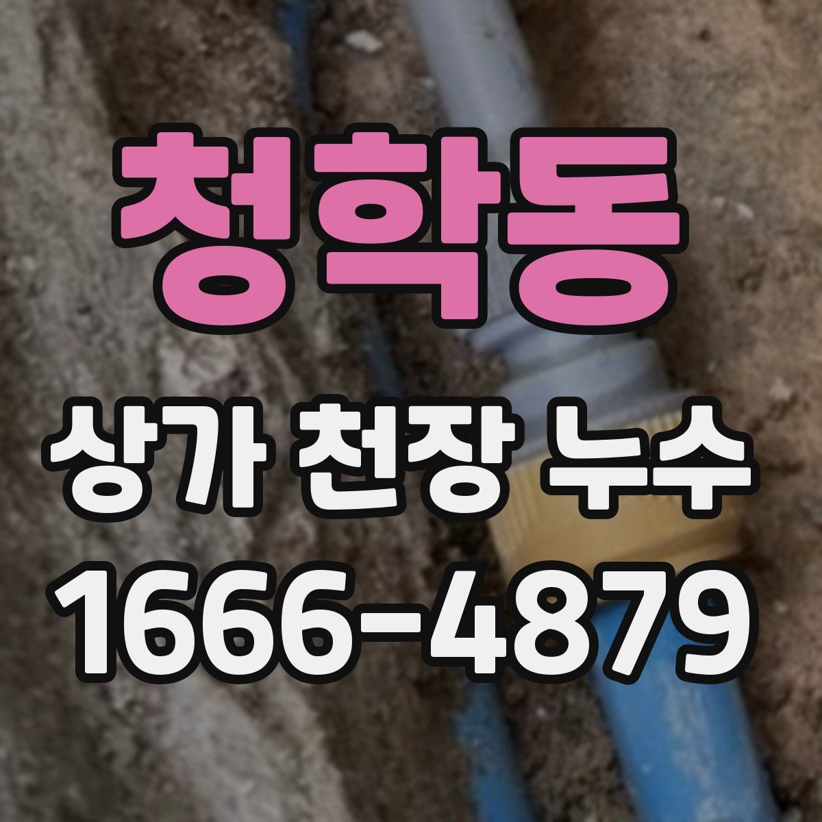 청학동 상가 천장 누수