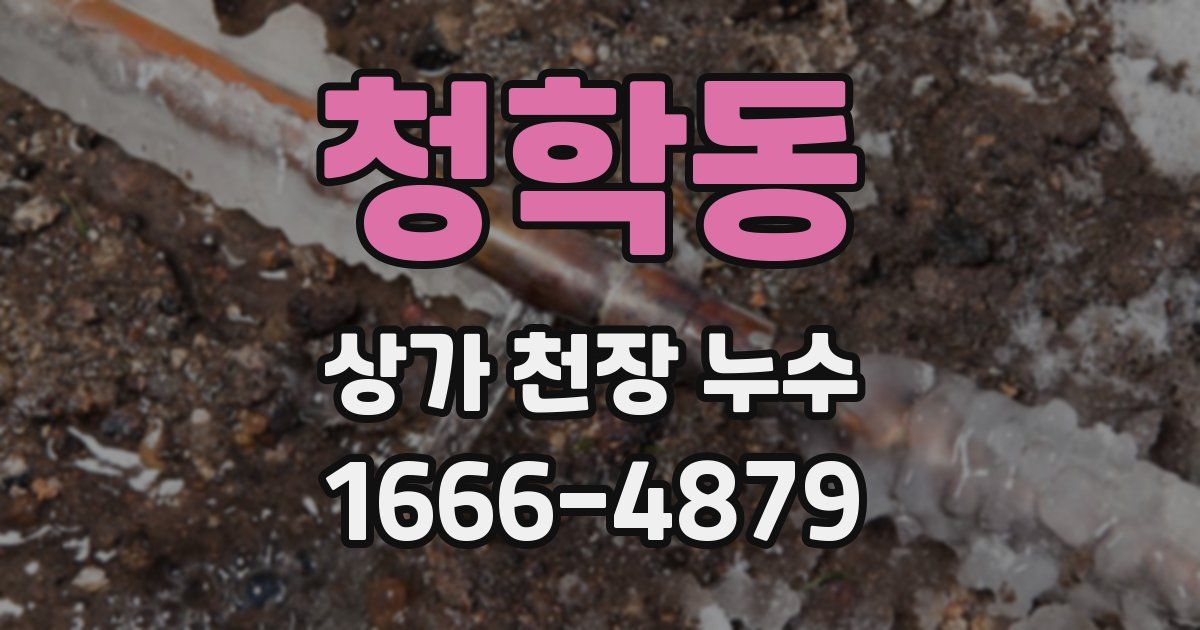 청학동 상가 천장 누수