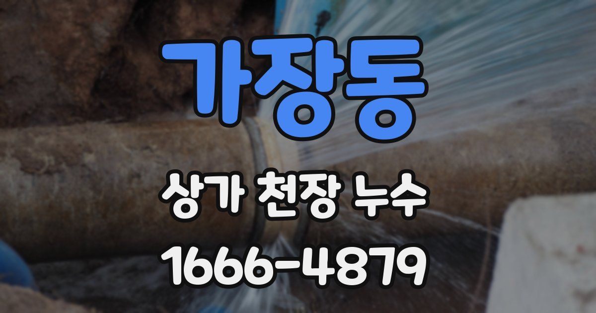 가장동 상가 천장 누수
