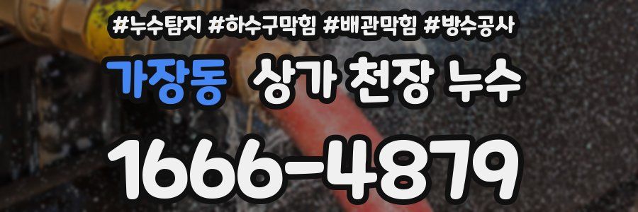 가장동 상가 천장 누수