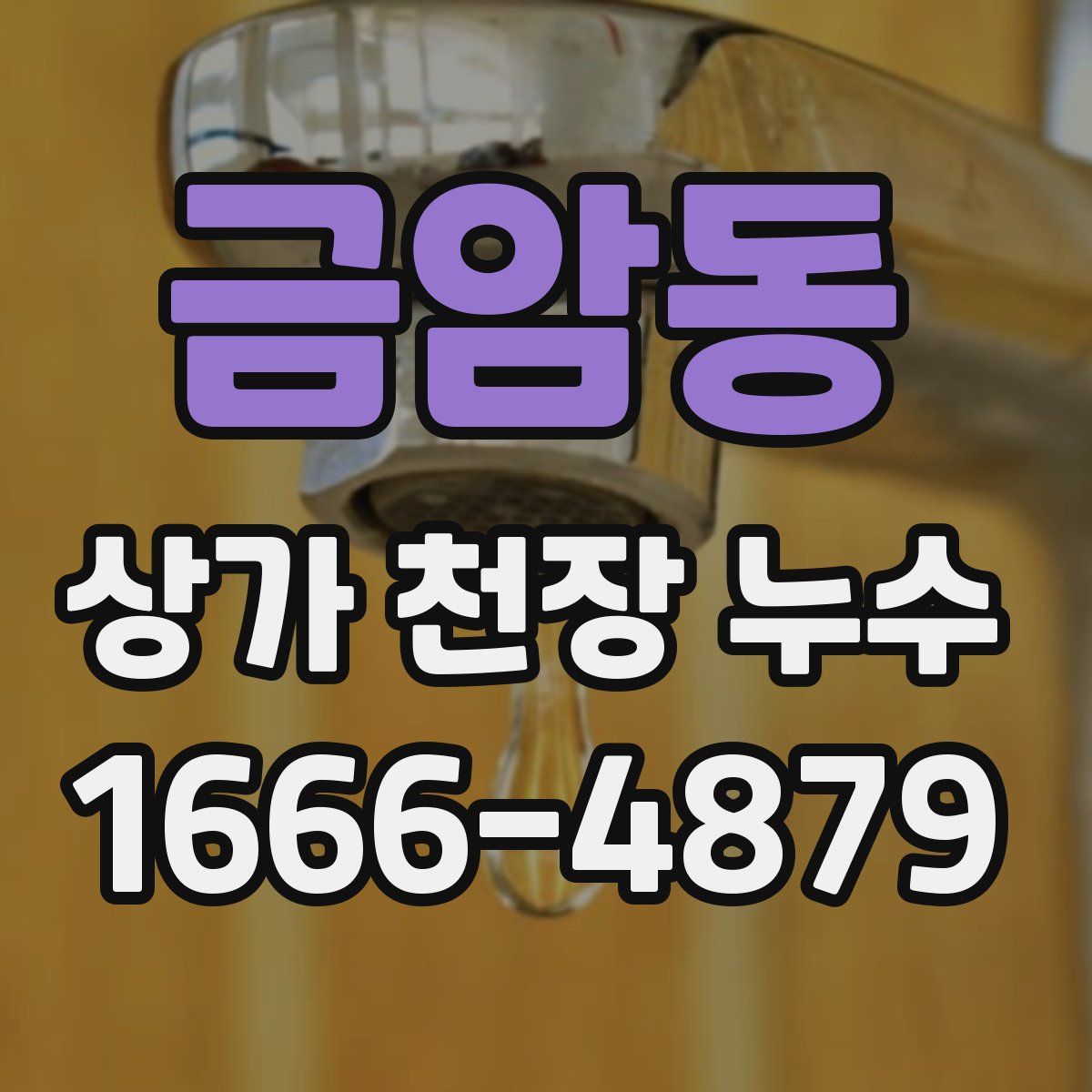 금암동 상가 천장 누수