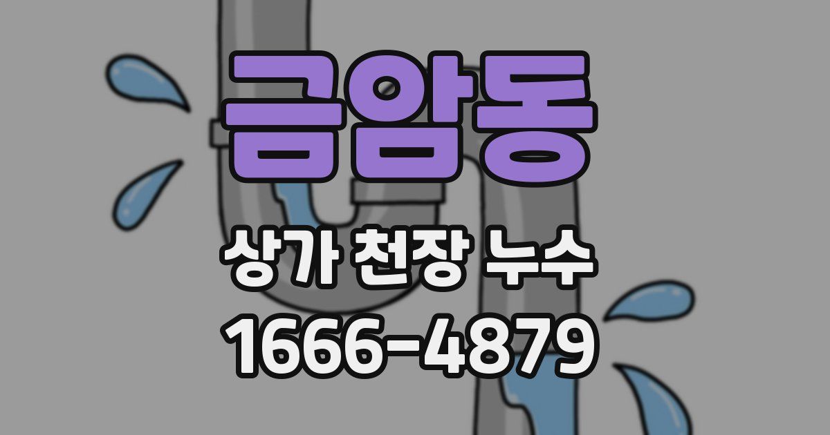 금암동 상가 천장 누수