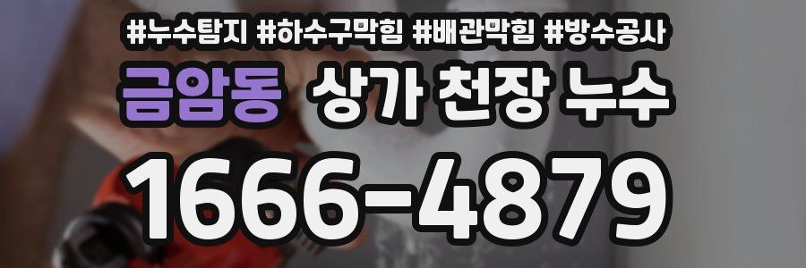 금암동 상가 천장 누수