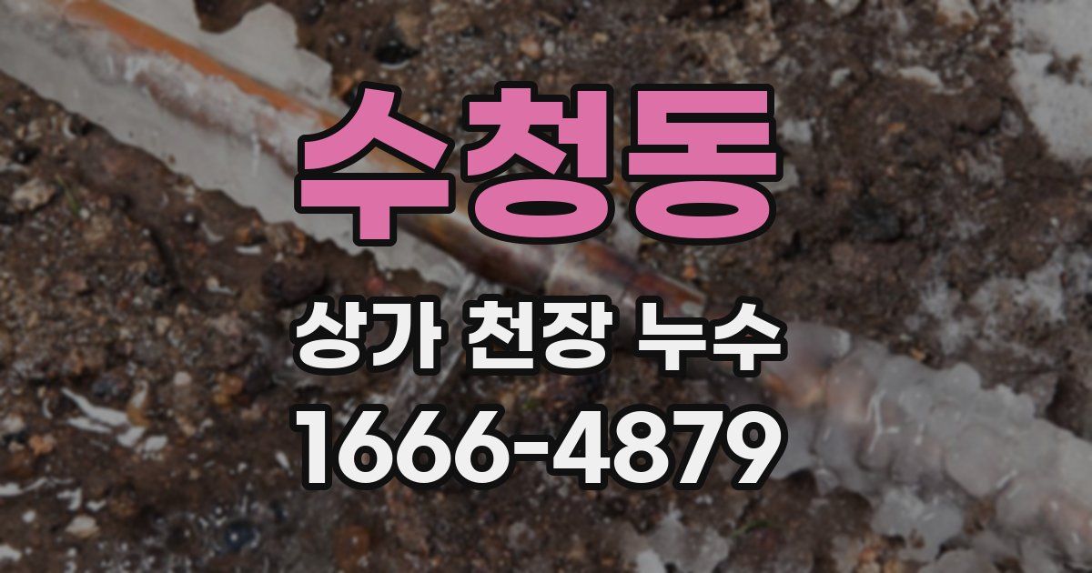 수청동 상가 천장 누수
